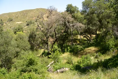 DSC_1650 (Large).JPG